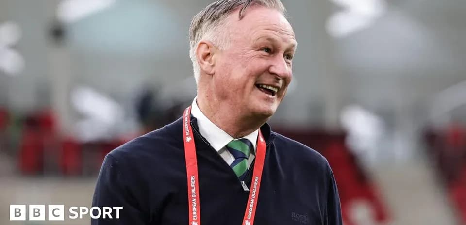 Manager smiling in stadium during European Qualifiers